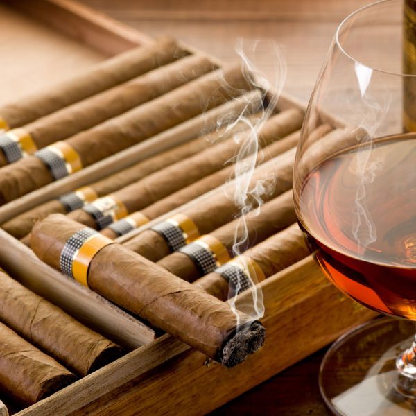 Tower Rush : Ce Guide Détaillé de Le Jeu de Pari Réfléchi