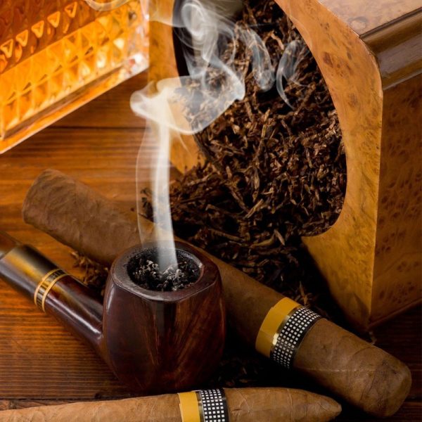 Tower Rush : Ce Guide Détaillé de Le Jeu de Pari Réfléchi