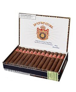 Punch London Club Ems Petite Corona